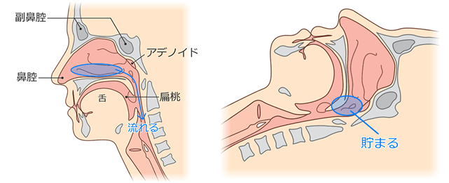 耳の病気 中耳炎 耳だれ 突発性難聴 めまい 耳鳴り サザンクリニック耳鼻咽喉科